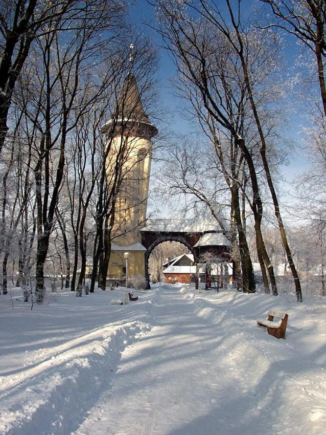 Apartman Buba Palic Exterior photo